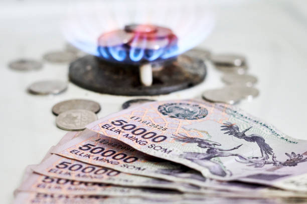 istock Burning gas stove burner and money 1346049746