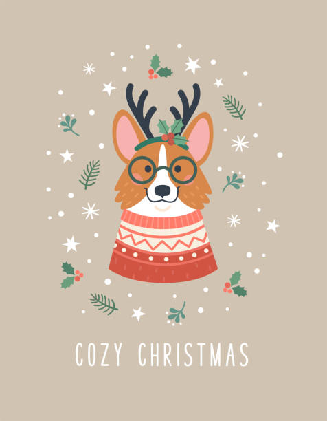 Cozy Christmas greeting card. Vector cartoon illustration with cute cartoon Corgi dog in red winter sweater and reindeer horn, surrounded by snow, stars and Christmas plants. Isolated on background red spectacles stock illustrations
