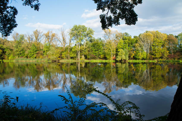 istock Autumn view of trees on a lakeside 1346053585