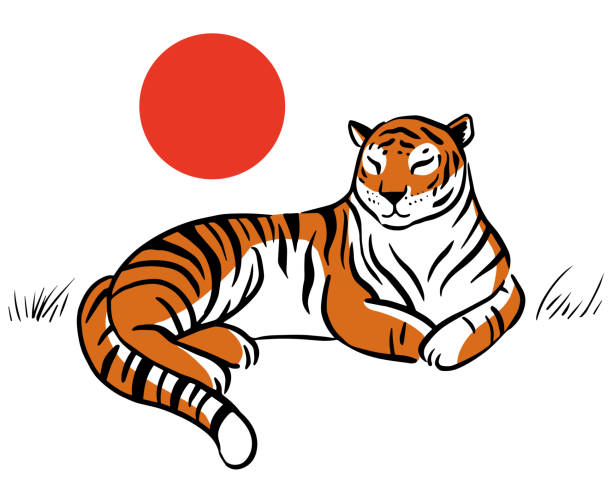 112 Drawing Of Tiger Laying Down Illustrations & Clip Art - iStock 112 Drawing Of Tiger Laying Down Illustrations & Clip Art - iStock