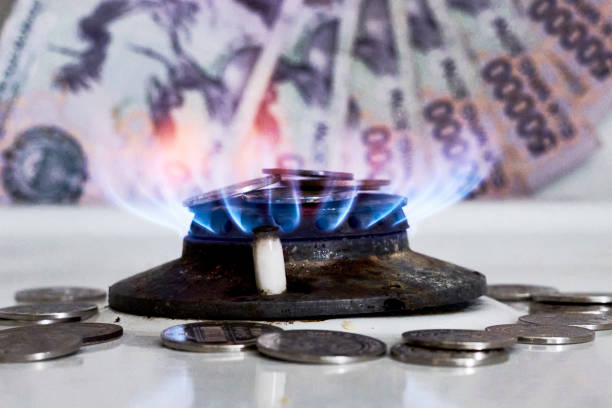 istock Burning gas stove burner and money 1346055287