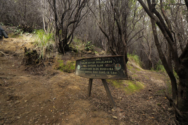 パパンダヤン山の森の真ん中にある警告ボード。パパンダヤンはガルトにある複雑な成層火山です - wadi warning ストックフォトと画像