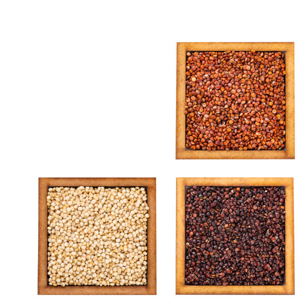 istock Chenopodium quinoa - Red, white and black quinoa seeds in square bowl 1346058802