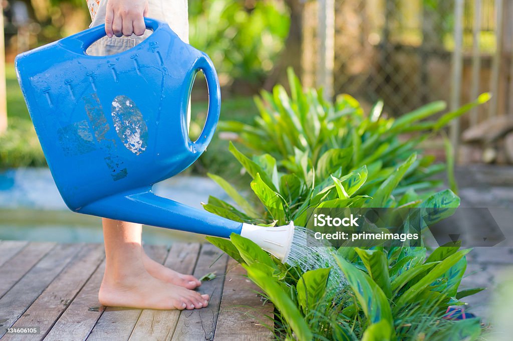 Gießen Pflanzen im Garten - Lizenzfrei Aktivitäten und Sport Stock-Foto