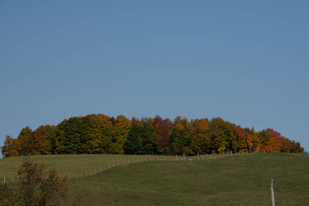 istock Fall colors in the Canadian countryside 1346061750