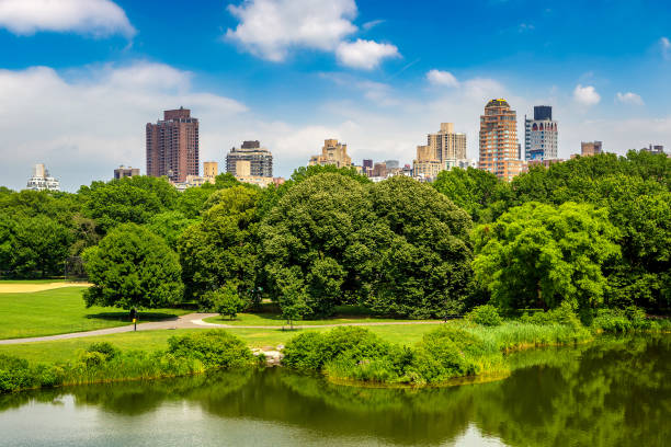 istock Central Park in New York 1346062037