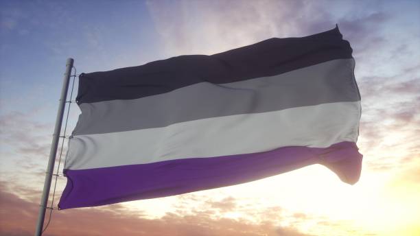 bandiera asessuata che sventola nel vento, nel cielo e nello sfondo del sole. rendering 3d - asexual reproduction foto e immagini stock