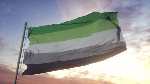 istock Aromantic pride flag waving in the wind, sky and sun background. 3d rendering 1346067220