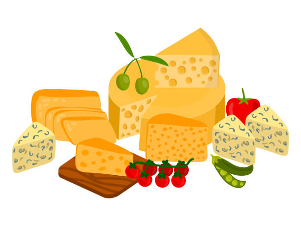 치즈의 귀여운 다른 종류. - leicester stock illustrations