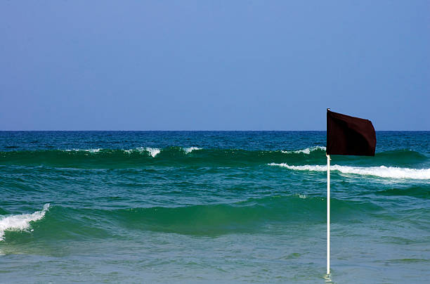 istock Black danger flag in shallow water 134607185