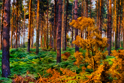 Pine twig and trees in the Sherwood Forest near Nottingham. A city famous for its link to the Robin Hood legend, in England. Oil paint filter.