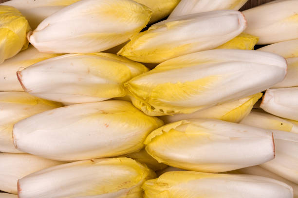 fresh endives ingredients food for cooking - lettuce endive abstract leaf imagens e fotografias de stock