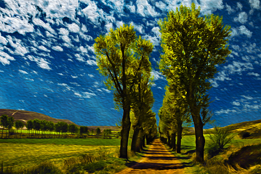 Dirt pathway with trees in a flat landscape at the Way of St. James. A pilgrimage route leading to Santiago de Compostela in Spain. Oil paint filter.