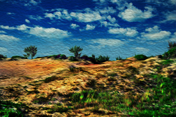 istock Sand dunes in a brazilian tropical beach 1346072855