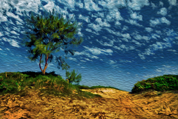 istock Sand dunes in a brazilian tropical beach 1346072861
