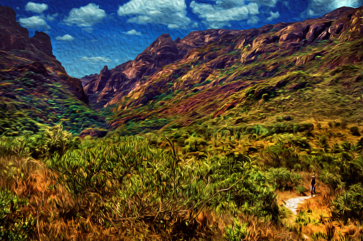 Hiker on trail walking through steep valley covered by forest in the Caraca Park. A beautiful region in the countryside of Brazil. Oil paint filter.