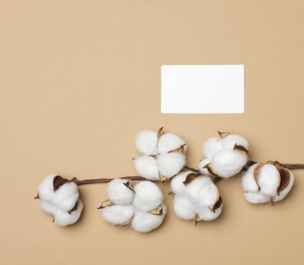 istock empty white rectangular business card on a brown background, company branding, address. View from above 1346074680