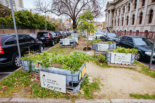 Melbourne, Australia - June 13, 2020: Condell Growers and Sharers Community Garden near Brunswick St in Fitzroy, Victoria, Australia