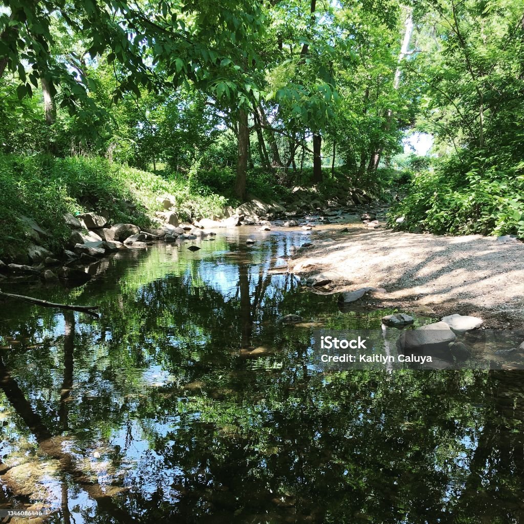 Creek walks Creek in spring Color Image Stock Photo