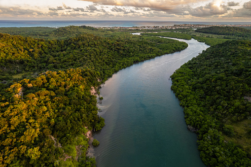 Río de la mata atlántica en Brasil photo