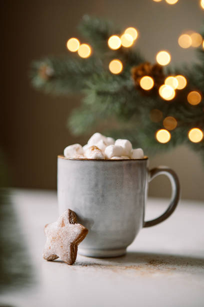 istock Cozy cup with hot cocoa, marshmallows and gingerbread 1346088835