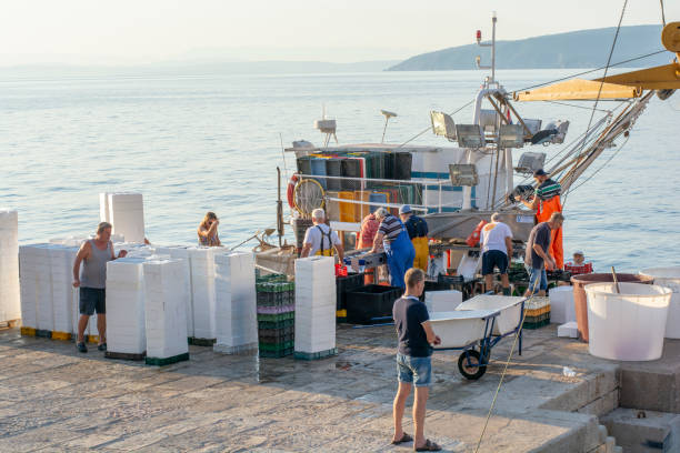 fishermen sorting out the catch in the harbor of moscenicka draga in the early morning. - harbor editorial industrial ship container ship imagens e fotografias de stock