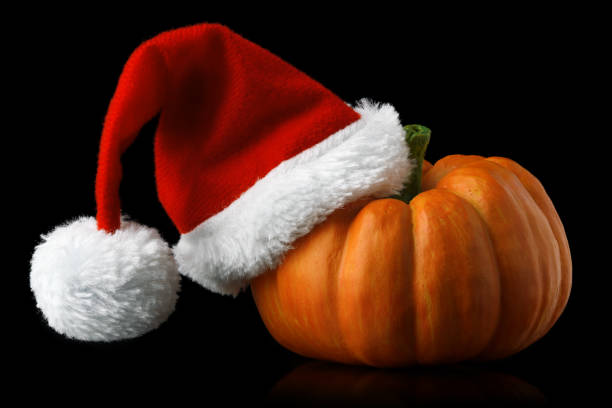 istock Single orange pumpkin with Christmas Santa hat 1346093999