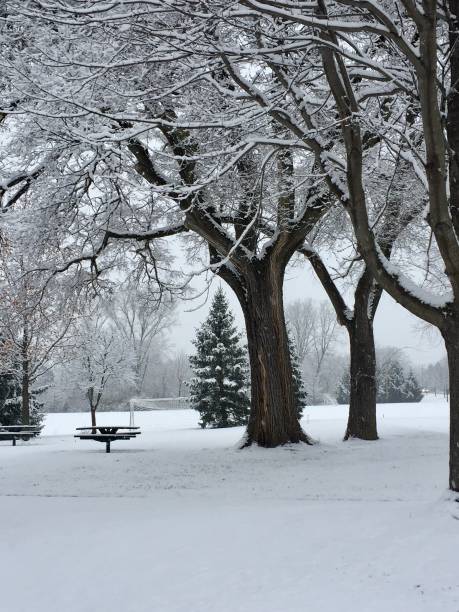 istock Cold winter snowy afternoon in Columbus Ohio 1346097485