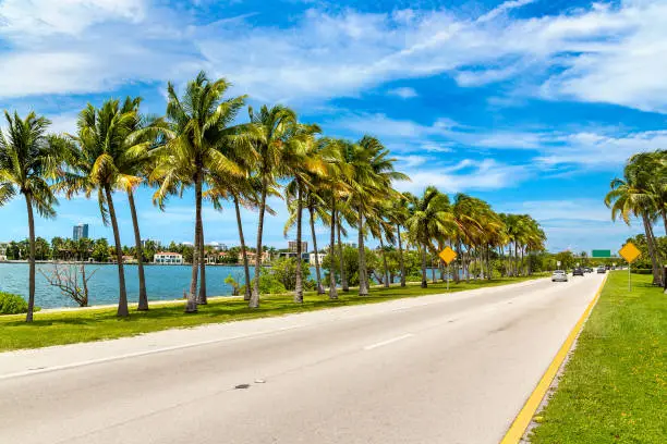 Palm trees and road in Miami Beach, Florida