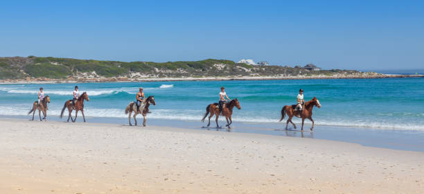 Horse Riders on Beach Cape Town, South Africa - September 16, 2021: A group of unidentified horse riders on Long Beach in the Cape Peninsula, South Africa. kommetjie stock pictures, royalty-free photos & images