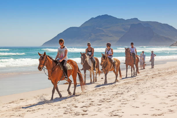 Horse Riders on Beach Cape Town, South Africa - September 16, 2021: A group of unidentified horse riders on Long Beach in the Cape Peninsula, South Africa. kommetjie stock pictures, royalty-free photos & images