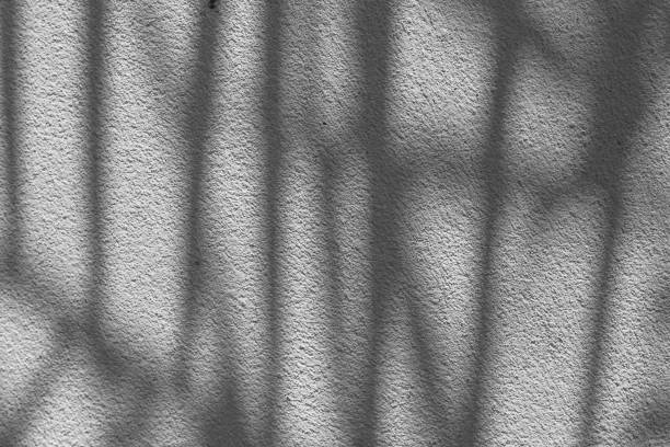 istock Black and White abstract background texture of shadows leaf on a concrete wall. 1346106554