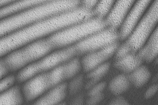 istock Black and White abstract background texture of shadows leaf on a concrete wall. 1346106623