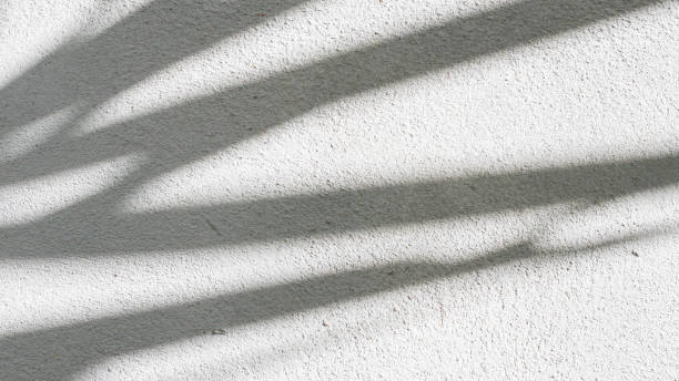 istock Black and White abstract background texture of shadows leaf on a concrete wall. 1346106712