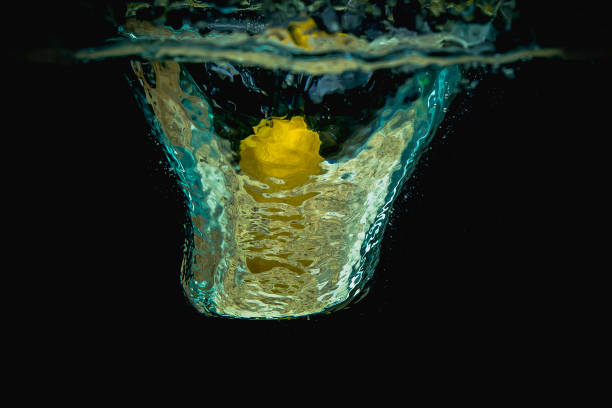Fresh lemon half falls into water making big splash of drops and spray on a dark background. Juicy and fresh concept of lemon in water making a beautiful water crown.