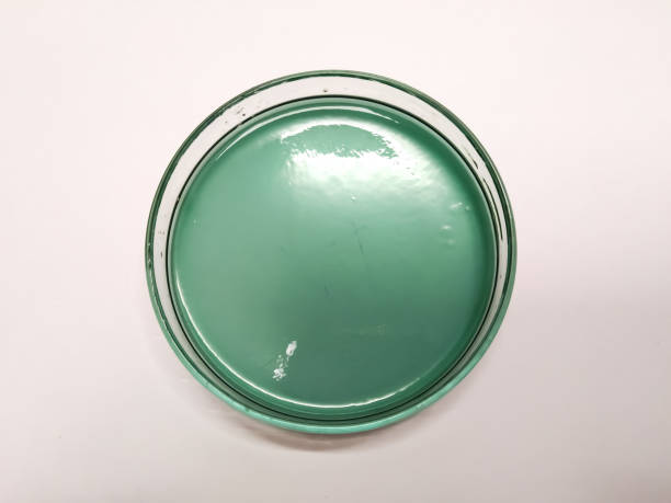 thiosulfate-citrate-bile salts-sucrose agar, or tcbs agar. - petri dish agar jelly laboratory glassware bacterium imagens e fotografias de stock