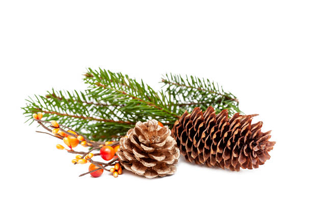 istock Christmas decorations from cones and branches of a Christmas tree 1346112230