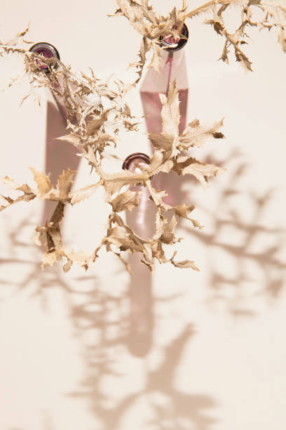 istock Dried branch in a vase on pastel beige background with shadow. Minimal style sunlit composition. Nature concept. Top view 1346114709