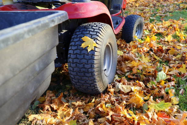 rotreit-rasenmäher mit großem container im garten. konzept gartenarbeit, mähen, arbeiten im freien im herbst - lawn mower tractor gardening riding mower stock-fotos und bilder