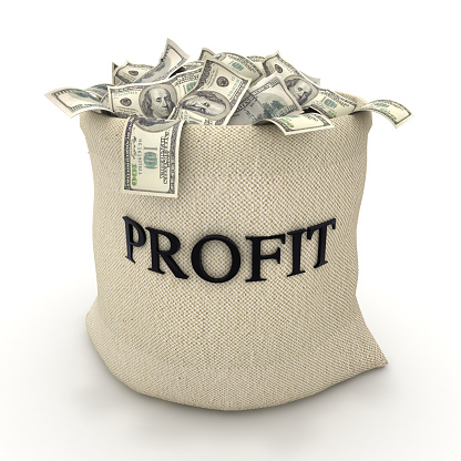 Money bag finance business profit