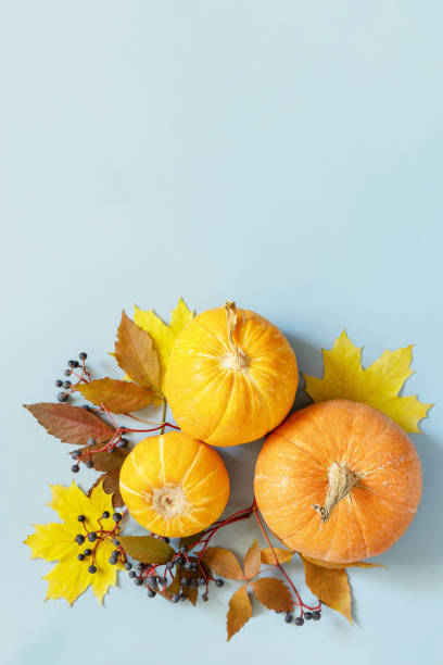 istock Creative minimal background. Fall, fall, thanksgiving concept. Autumn background pumpkins with autumn leaves on a blue paper background. Flat lay, top view. 1346116361