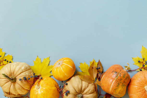 istock Creative top view flat lay autumn composition on a blue paper background. Autumn harvest thanksgiving halloween anniversary invitation template. Flat lay, top view. 1346116363