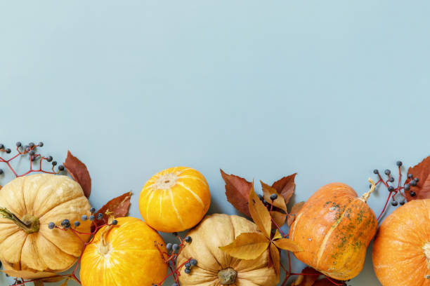 istock Creative minimal background. Fall, fall, thanksgiving concept. Autumn background pumpkins with autumn leaves on a blue paper background. Flat lay, top view. 1346116364