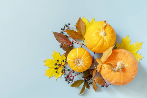 istock Creative top view flat lay autumn composition on a blue paper background. Autumn harvest thanksgiving halloween anniversary invitation template. Flat lay, top view. 1346116367