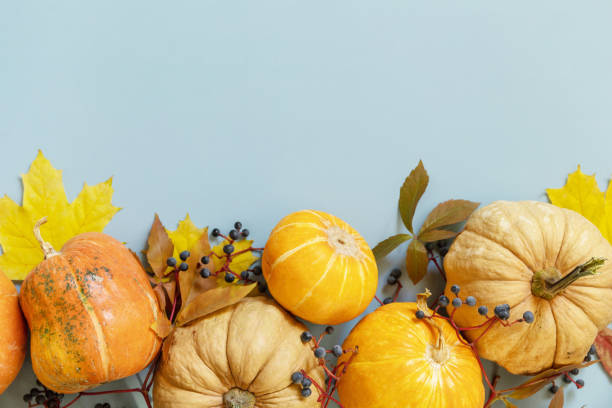 istock Creative minimal background. Fall, fall, thanksgiving concept. Autumn background pumpkins with autumn leaves on a blue paper background. Flat lay, top view. 1346116370