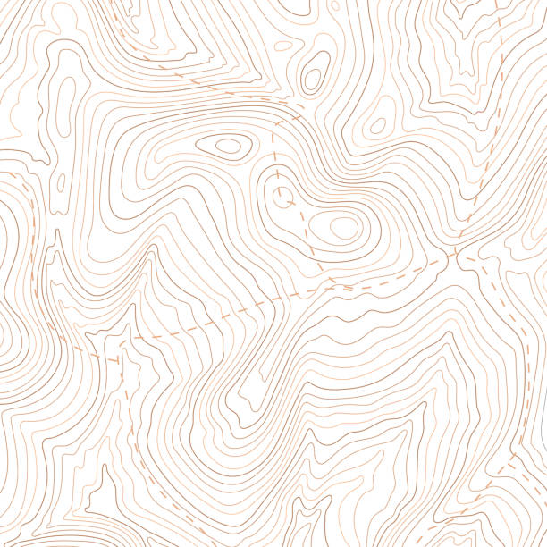 wzór mapy topograficznej, mapa liniowa topografii. wektorowa ilustracja stockowa - park terenowy stock illustrations