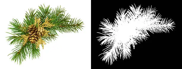 Christmas corner arrangement with pine twigs and golden cones isolated on white background and  silhouette on black