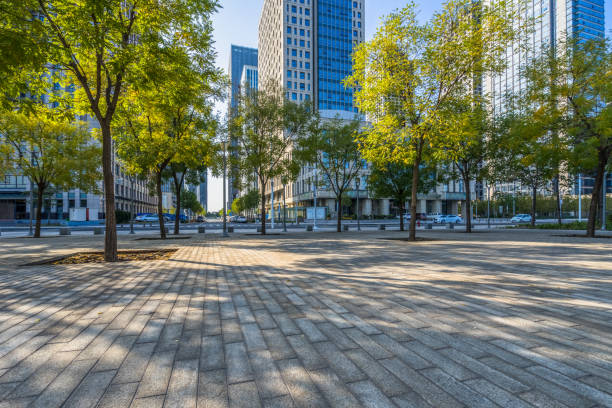 istock beautiful park at a sunny day, shanghai, china 1346119767