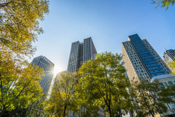 wieże biznesowe i zielone liście - trees urban zdjęcia i obrazy z banku zdjęć