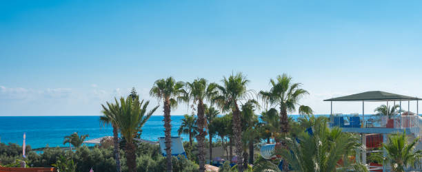 istock Beautiful balcony view, palms and ocean 1346120845